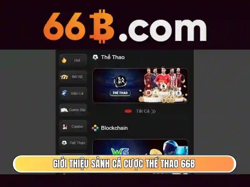 hỗ trợ người chơi - 66B