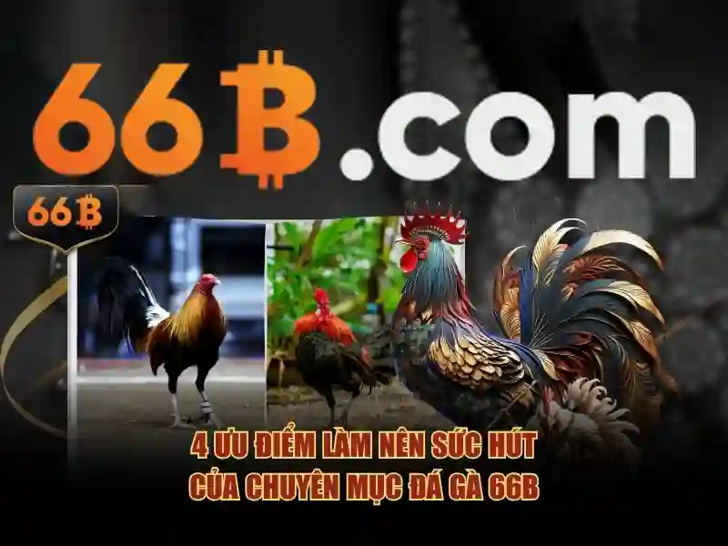  Slot365 chính thức - 66B