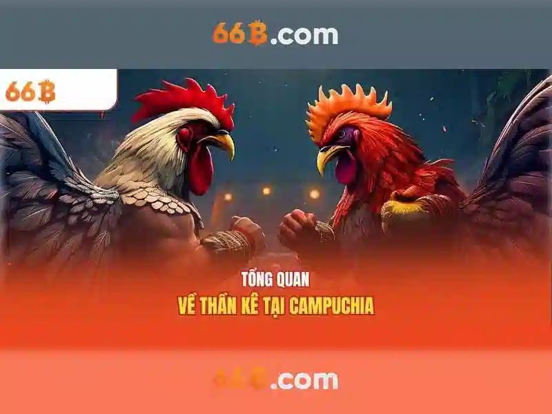 66B trực tuyến - 66B