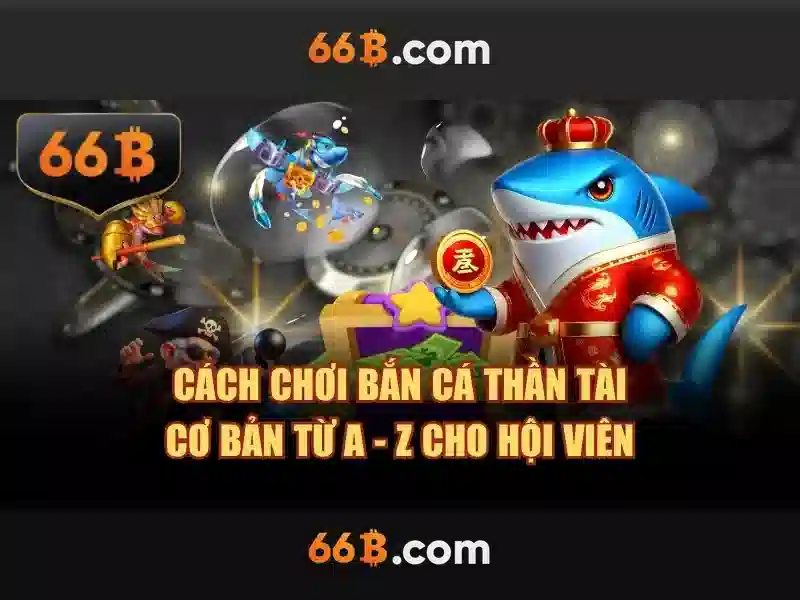 code 66b - 66B