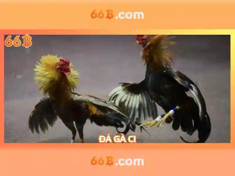 Về Chúng Tôi – Sân Chơi Slot 66B Đẳng Cấp Đông Nam Á - 66B