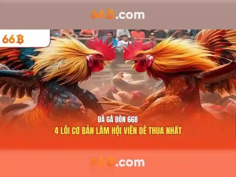  dịch vụ SLOT - 66B