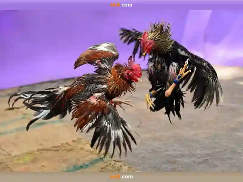 66B – Khuyến Mãi 66B Hoàn Tiền 2026 | Slot 66B - 66B