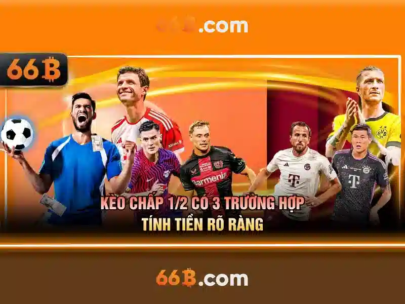  thể thao trực tuyến - 66B