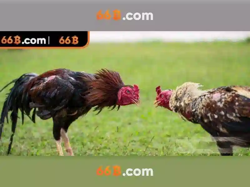  nạp đầu Slot 66B - 66B