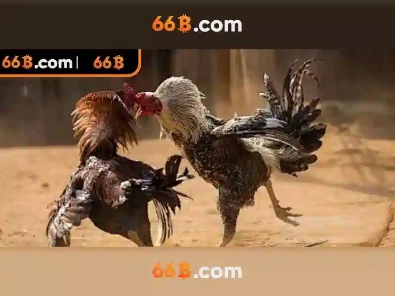  Slot 66B chính thức - 66B