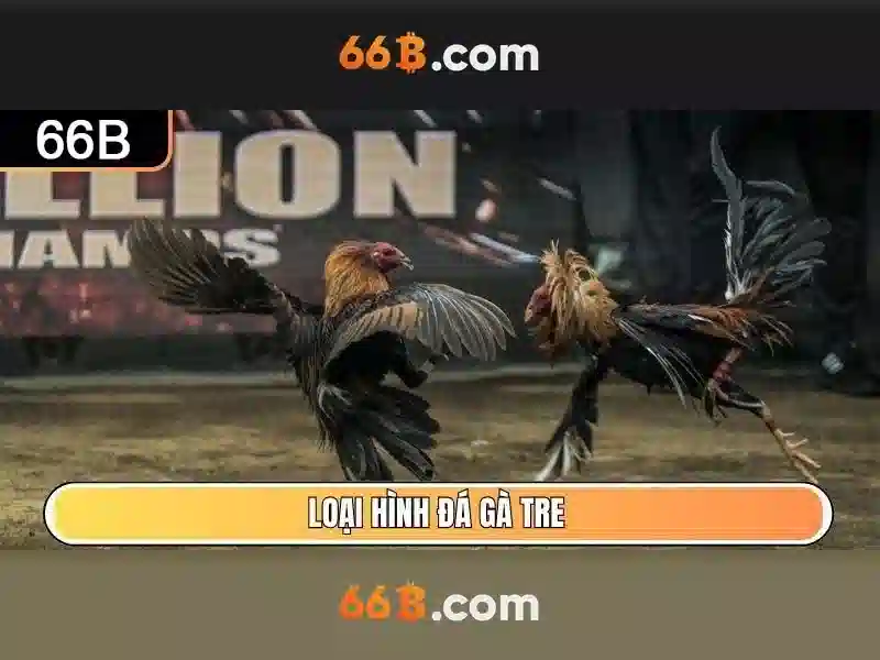 đá gà - 66B