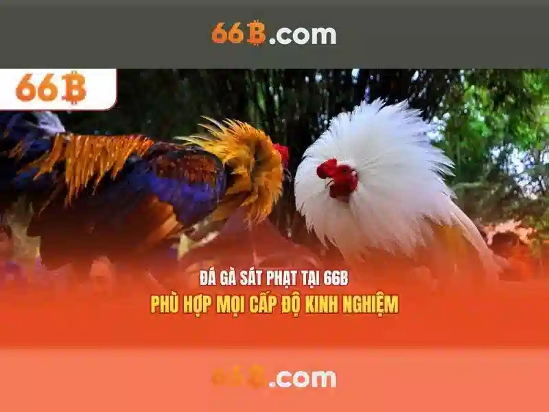 66B - Trải Nghiệm Tài Xỉu 66B Đỉnh Cao Cùng Các Trò Chơi SLOT - 66B