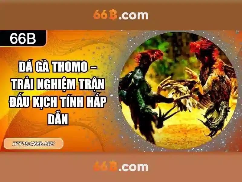 66b - Khu vườn cá cược trực tuyến uy tín và đầy hứng khởi