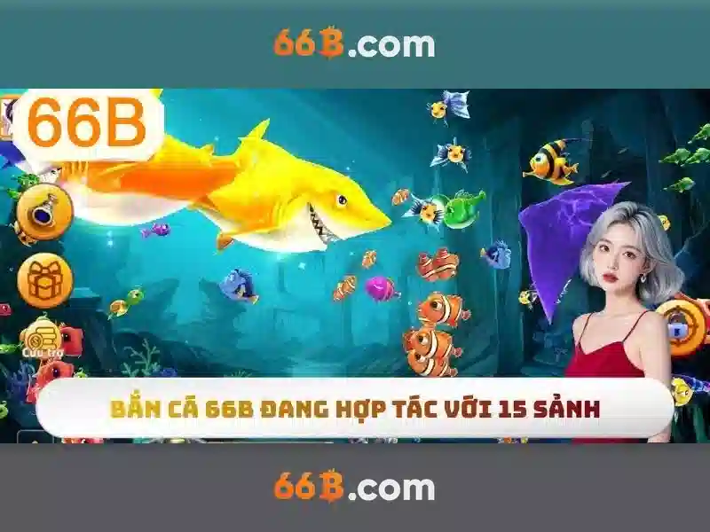 hướng dẫn 66B - 66B