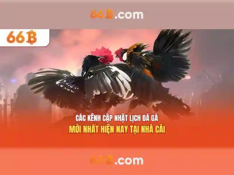 66b - Khu vườn cá cược trực tuyến uy tín và đầy hứng khởi