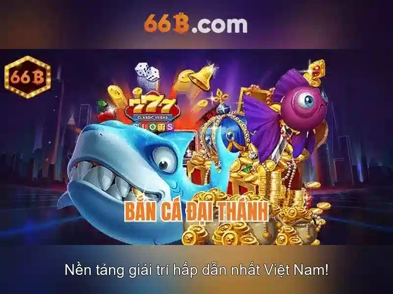  cá cược - 66B