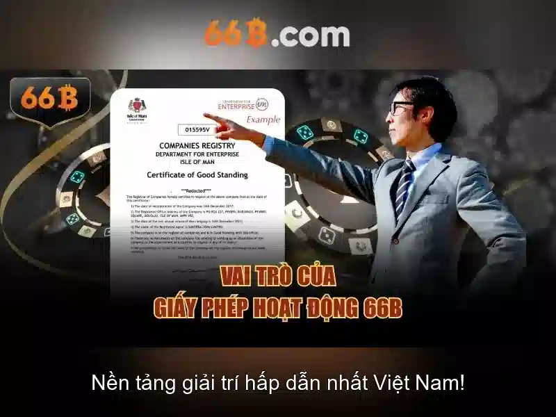  hướng dẫn đăng nhập 66b - 66B