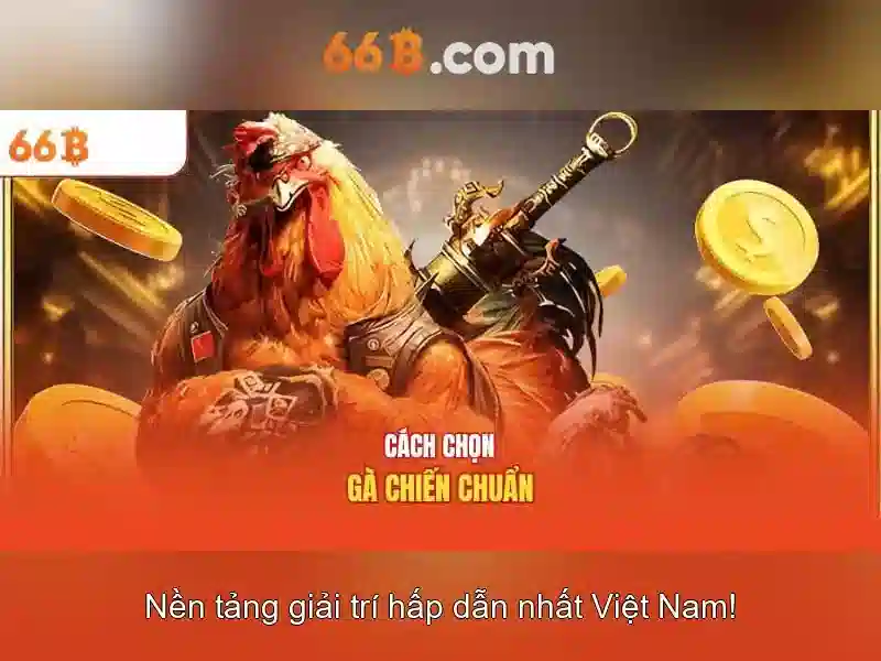 chip free - 66B