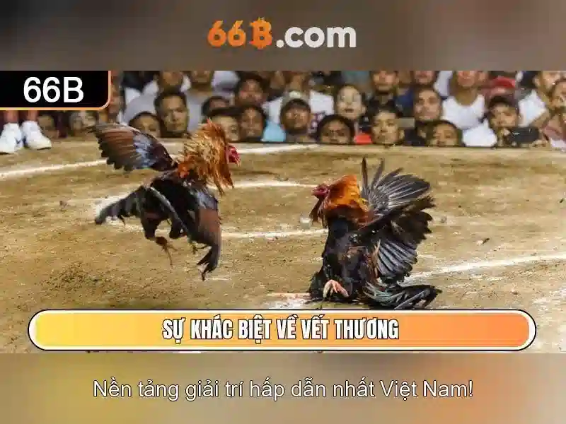 Chính Sách Bảo Mật 66B – Nguyên Tắc Riêng Tư Và An Toàn - 66B