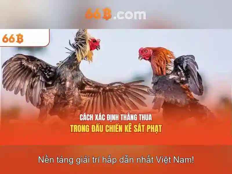  bắn cá đổi thưởng - 66B