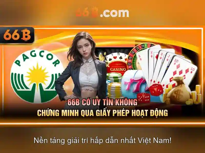 giấy phép hoạt động - 66B