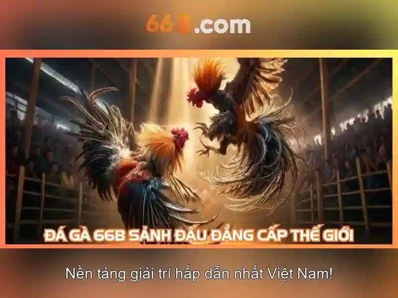 Slot 66B – Trải Nghiệm Cá Cược Tốc Độ Đỉnh Cao 2026 - 66B