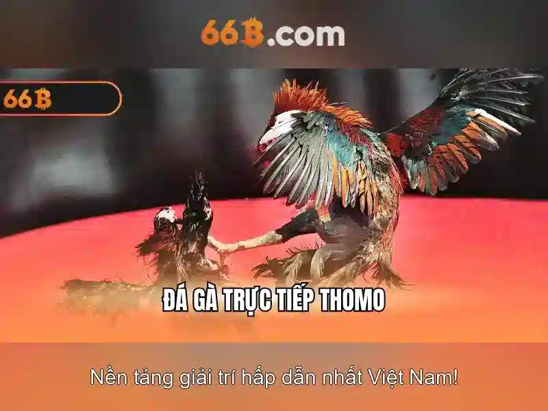  Slot trực tuyến - 66B