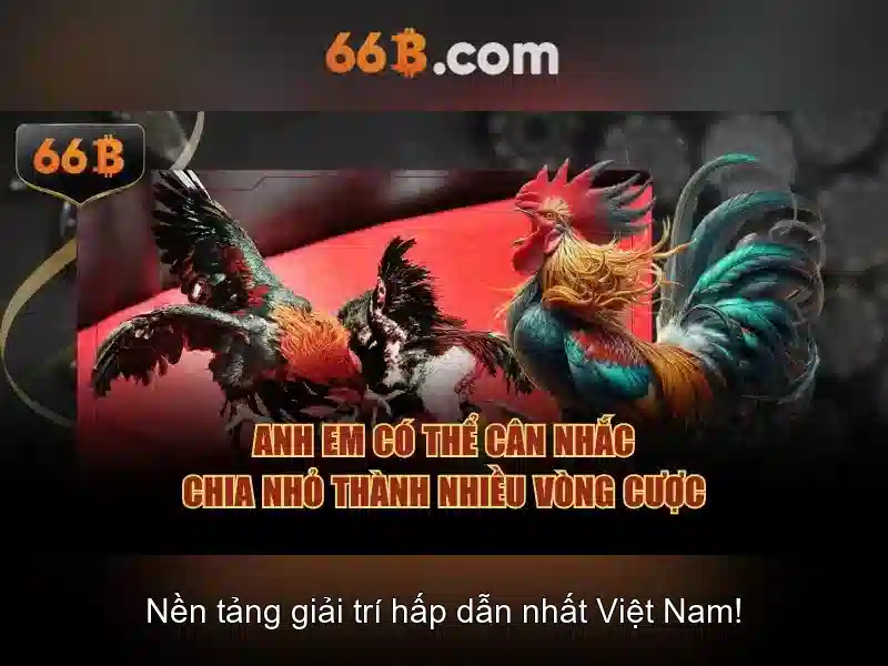 66b - Khu vườn cá cược trực tuyến uy tín và đầy hứng khởi