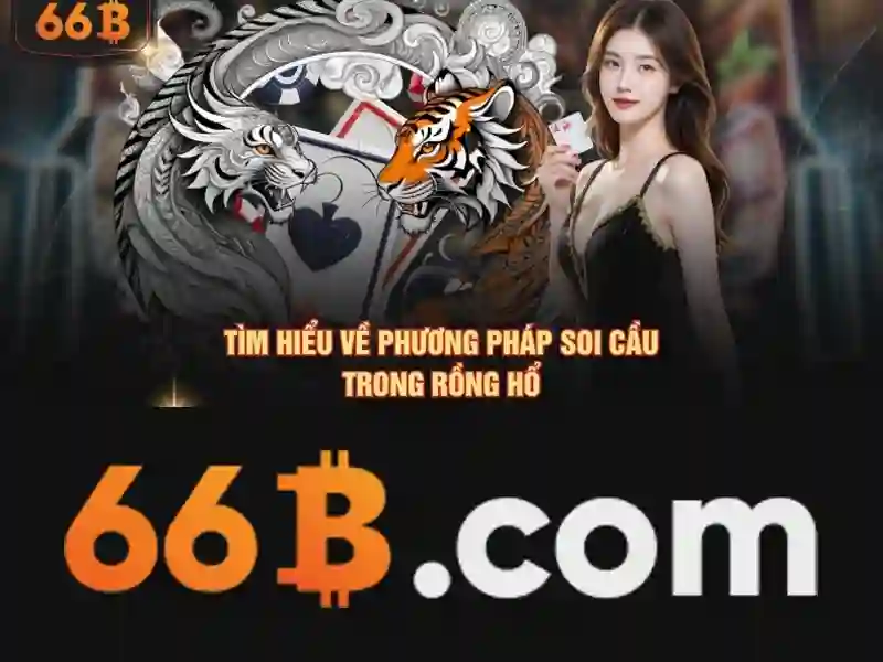 66b website - 66B