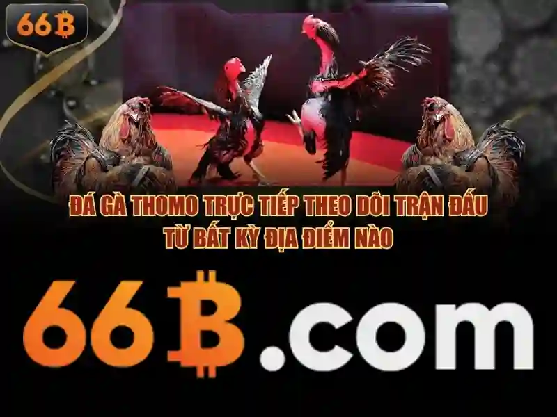66B – Trải Nghiệm Đỉnh Cao Trong Thế Giới Slot 2026 - 66B