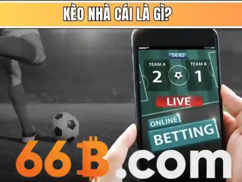 Tài Khoản 66B – Hướng Dẫn Đăng Ký, Nạp Tiền & Chơi Slot 2026 - 66B